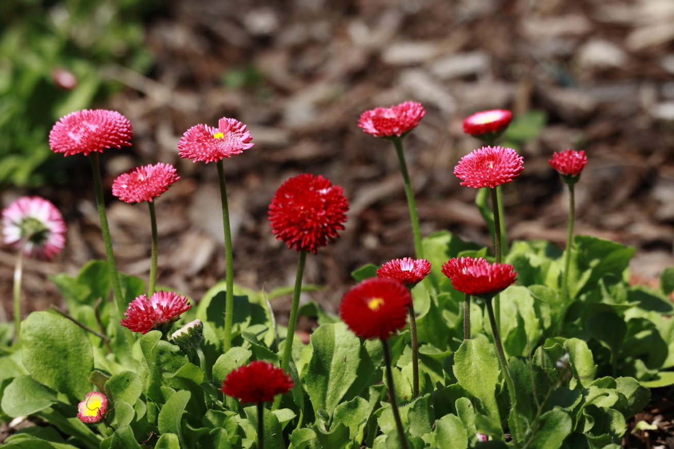 2015 05 07 HTP 000050037e